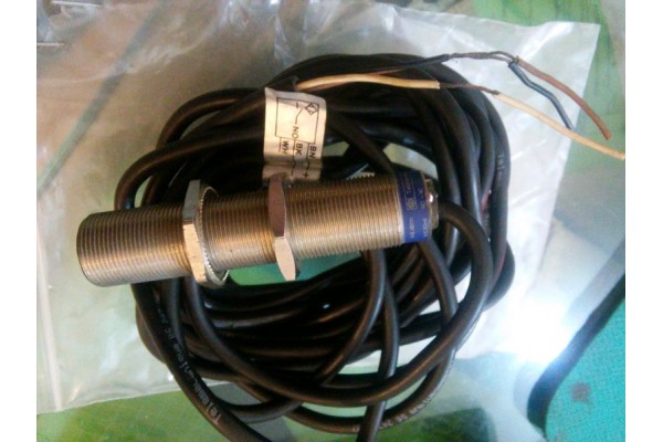 Inductive Proximity Switch, XS1M18DA9AV, Telemecanique